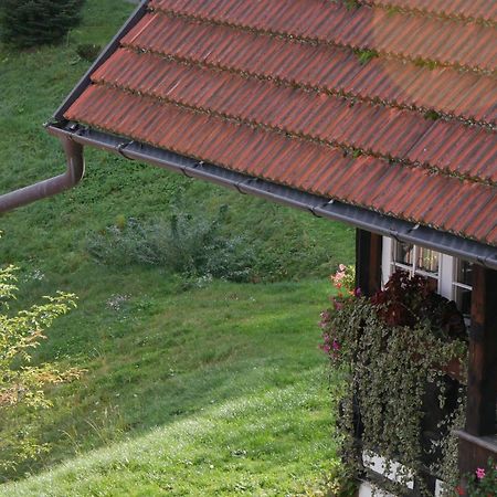 Schwarzwald Buchenhof Villa เซลอัมฮาร์เมอร์บัค ภายนอก รูปภาพ
